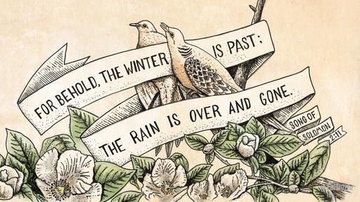 The winter is past (© Faithlife)